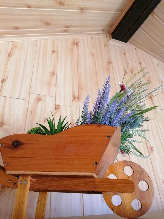 Cozy Attic Studio Brasov Exterior photo